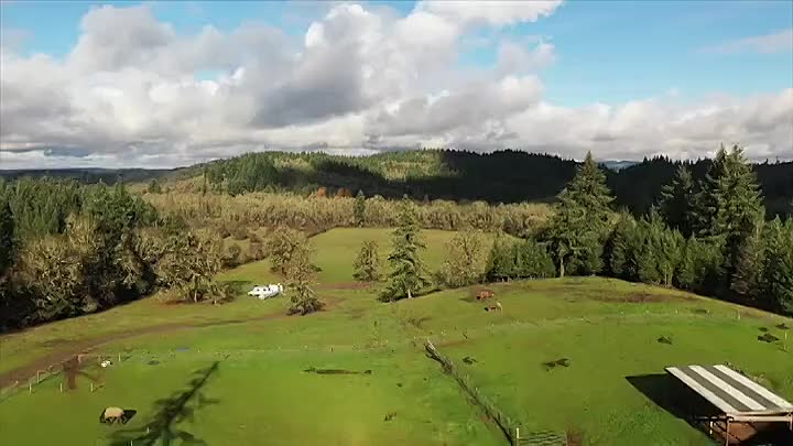 Polyfamily S01E02 (Better Copy Requested)