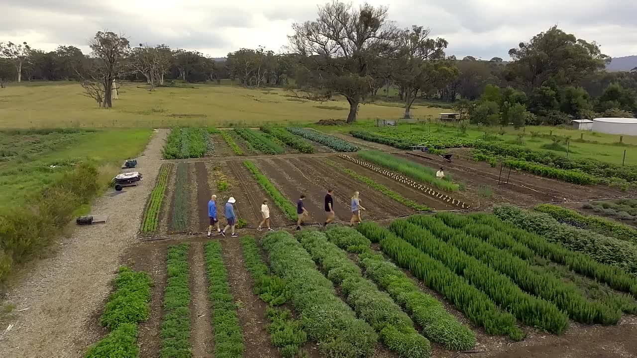 ⁣Gen. Well S01E01 -Seasonal Health