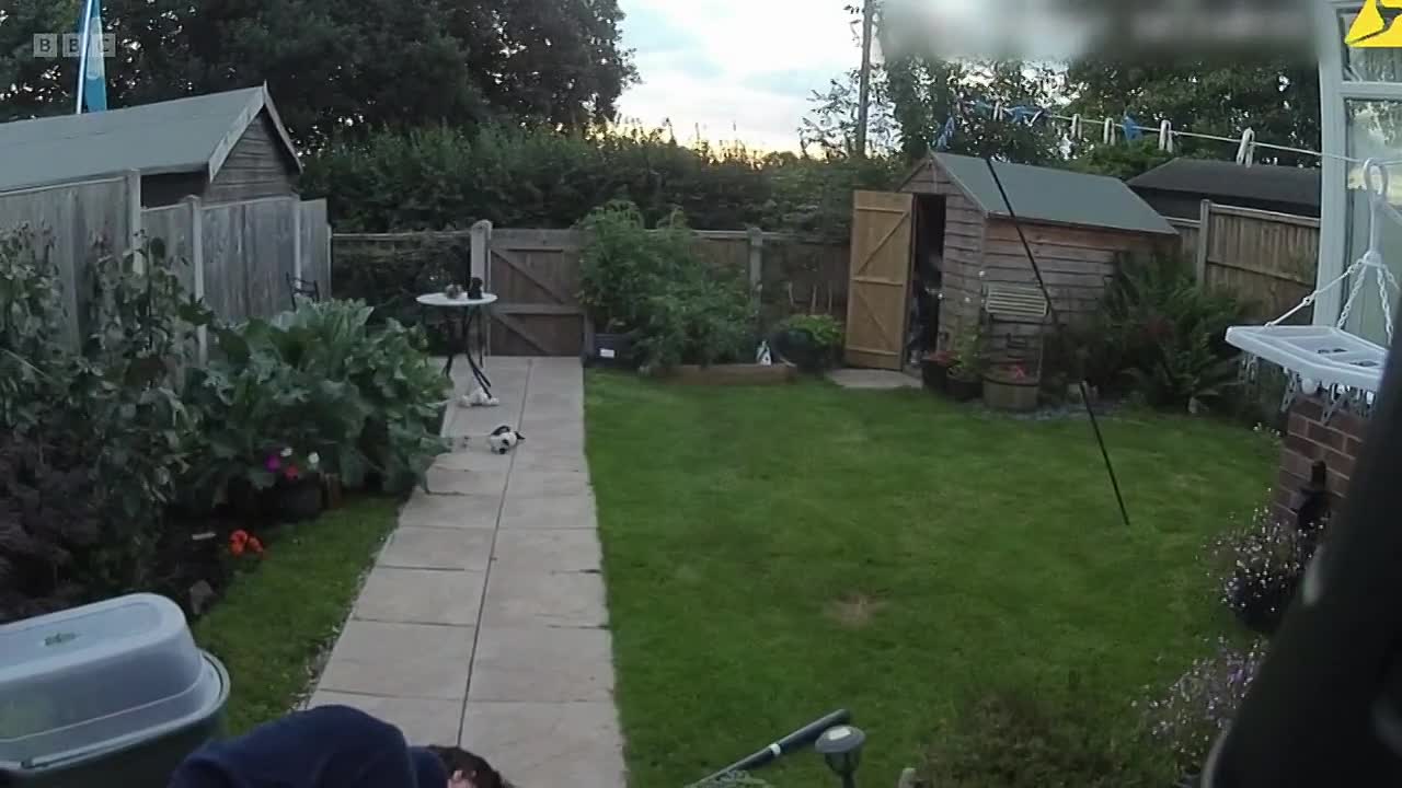 Murder 24/7 S02E05 -Killing in the Close Part 2