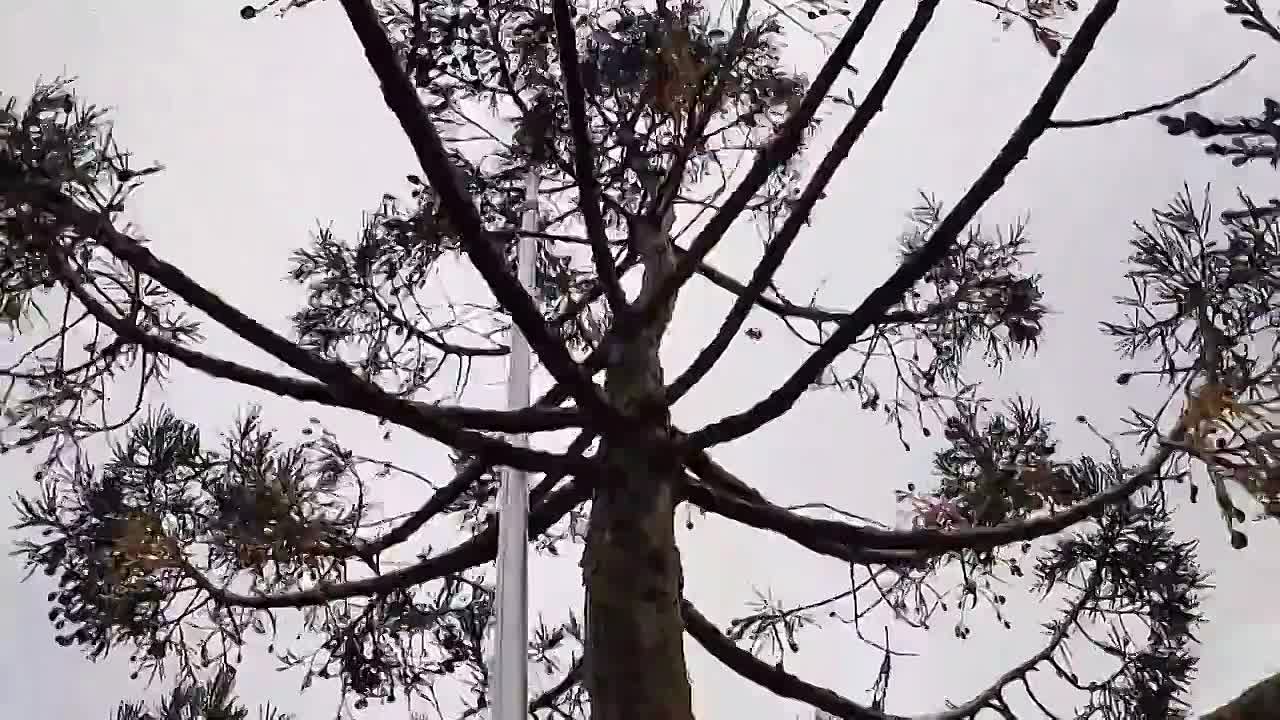 Inside Longleat S01E01