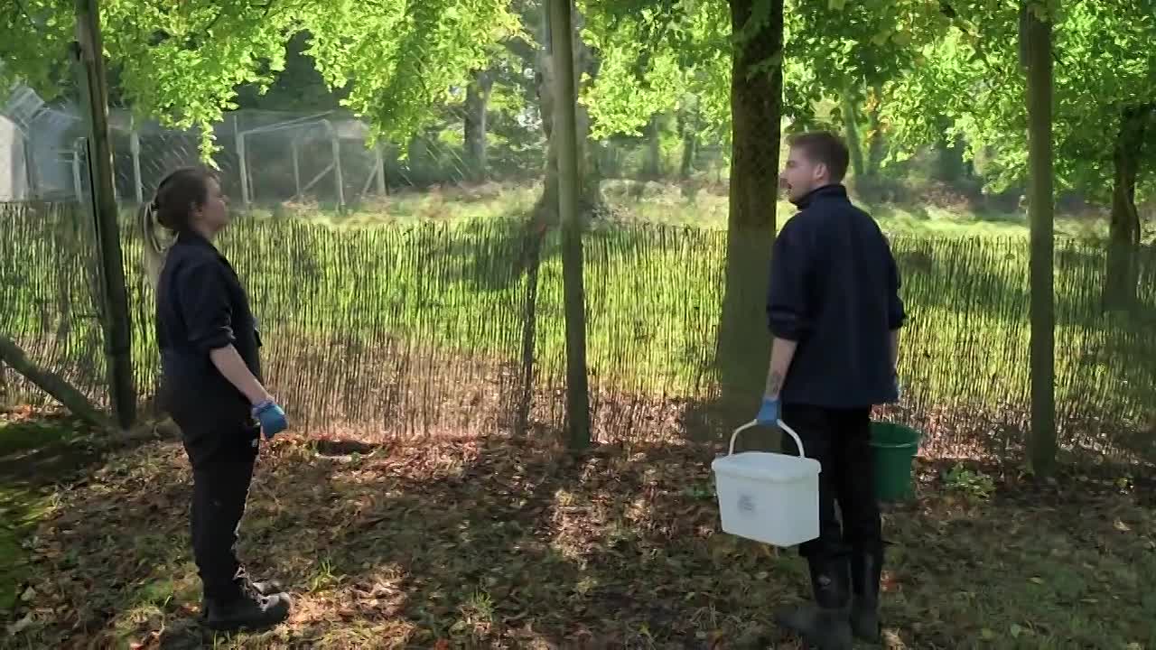 Inside Longleat S01E02