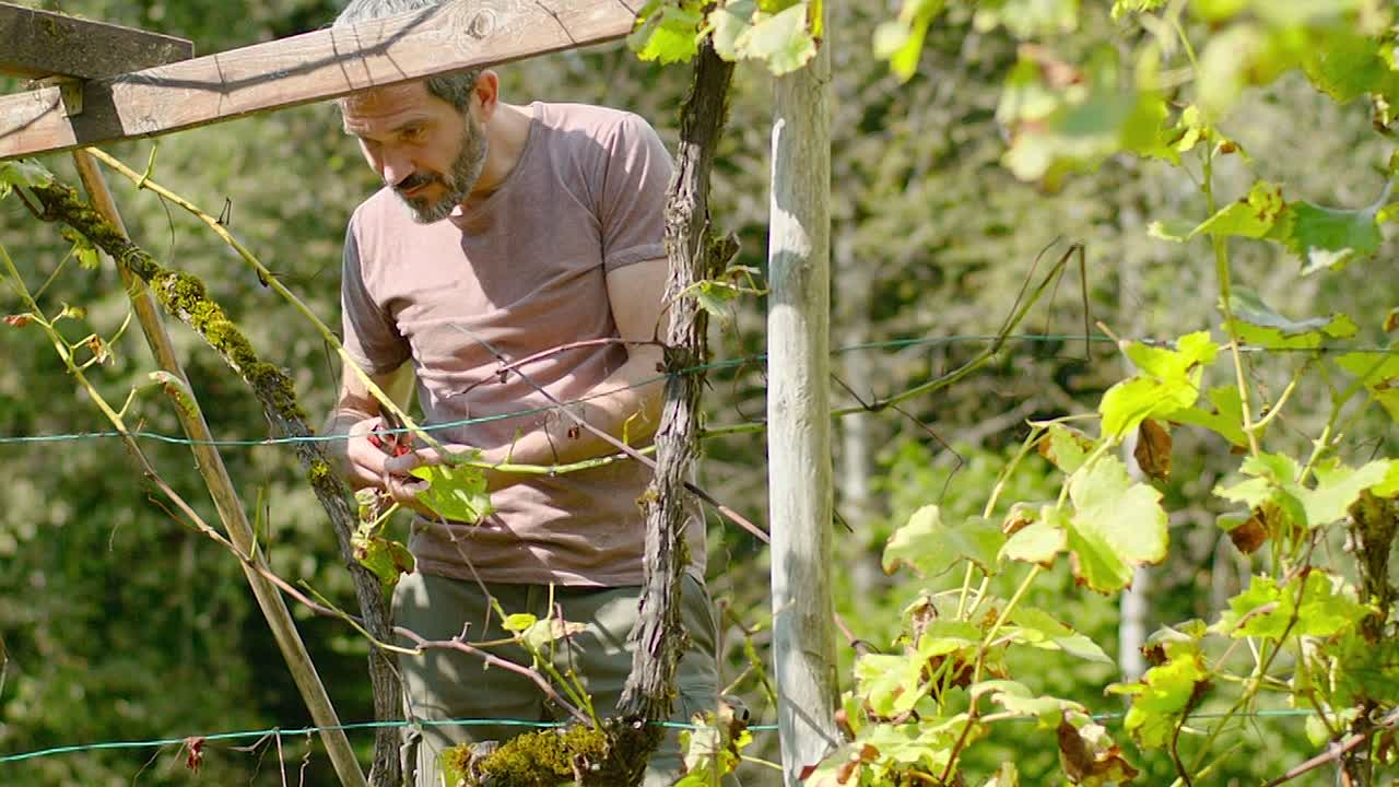 ⁣Le Syndrome de l Ete Sans Fin 2023 FRENCH 1080p BluRay x264 AAC5 1-