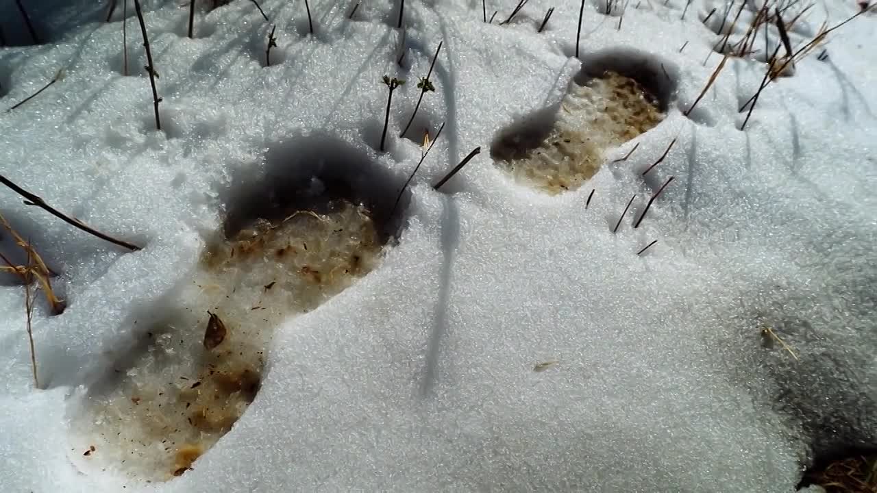 Greatest Escapes Of WWII S01E02