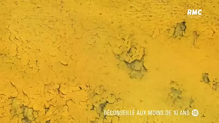 ⁣FELA -Le dilemme de Catarina