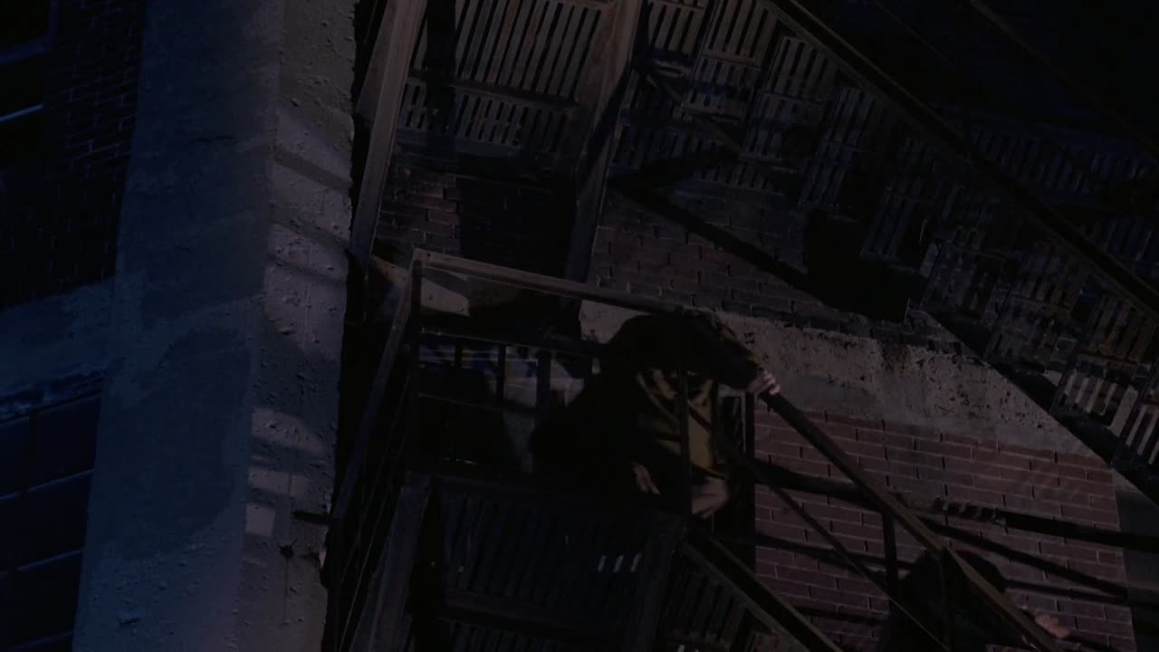 ⁣Survive The Night 1993 1080p WEBRip x264 AAC-