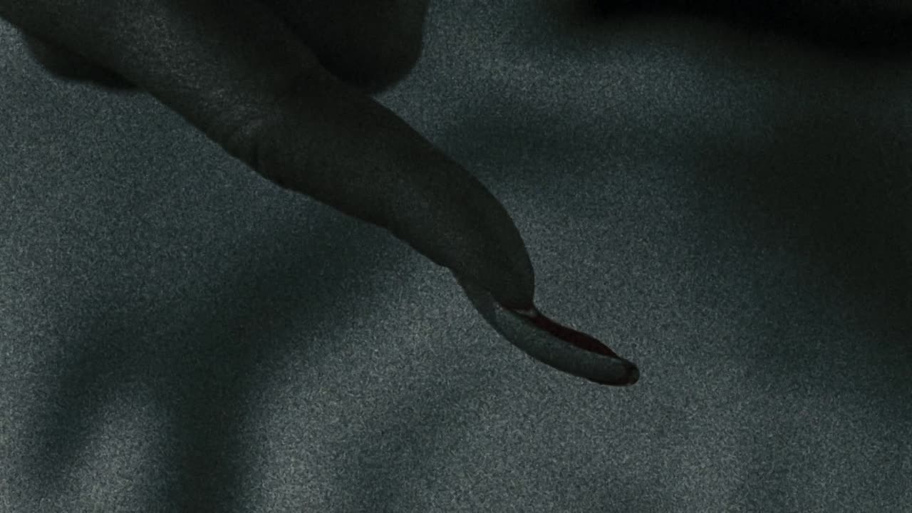 The Grudge 2 2006 1080p BluRay x264 AAC5 1-