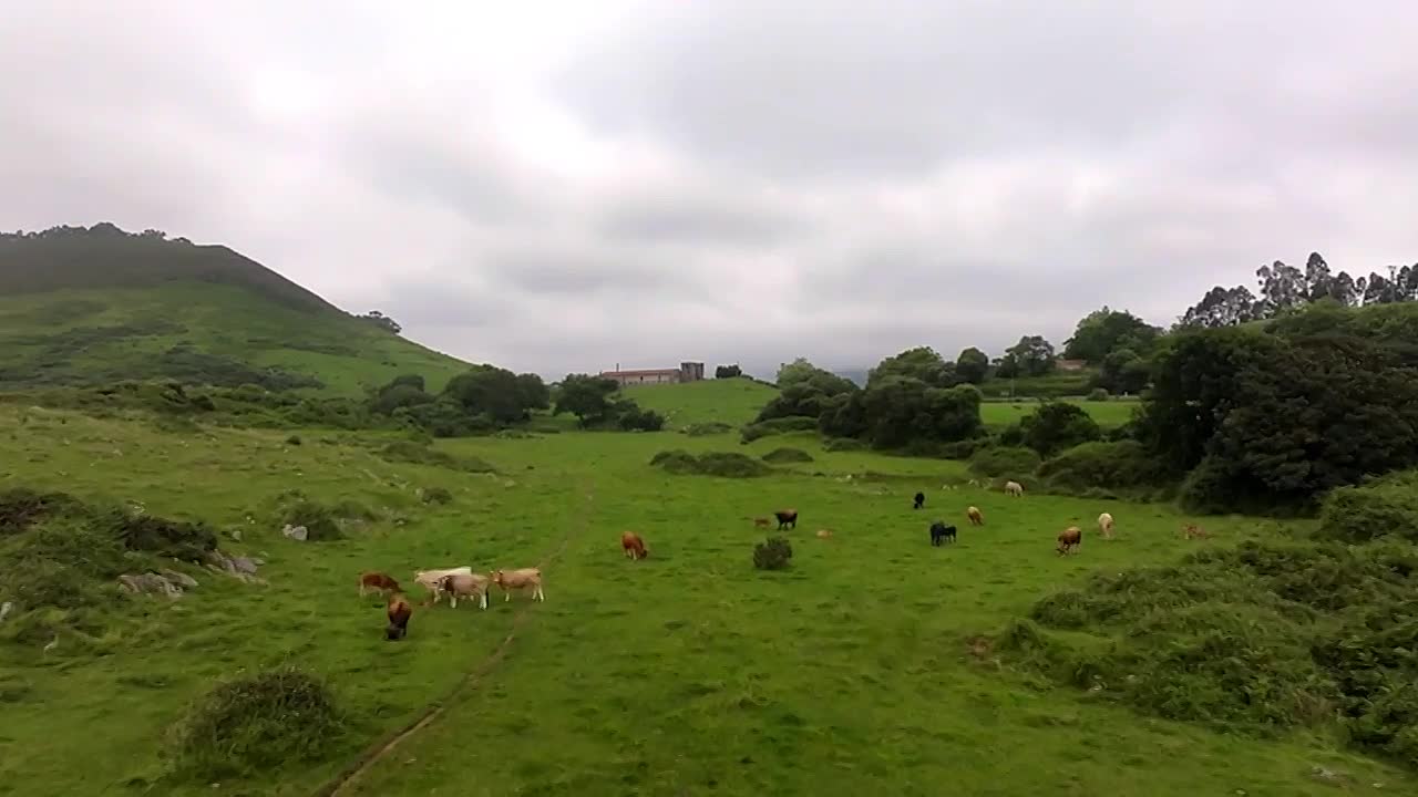 Britain's Countryside Killers S01E03