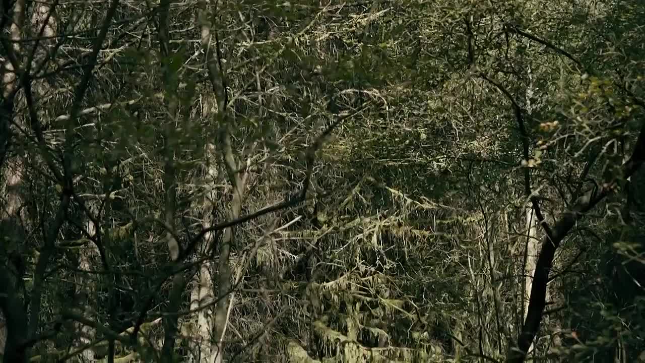 Britain's Countryside Killers S01E02