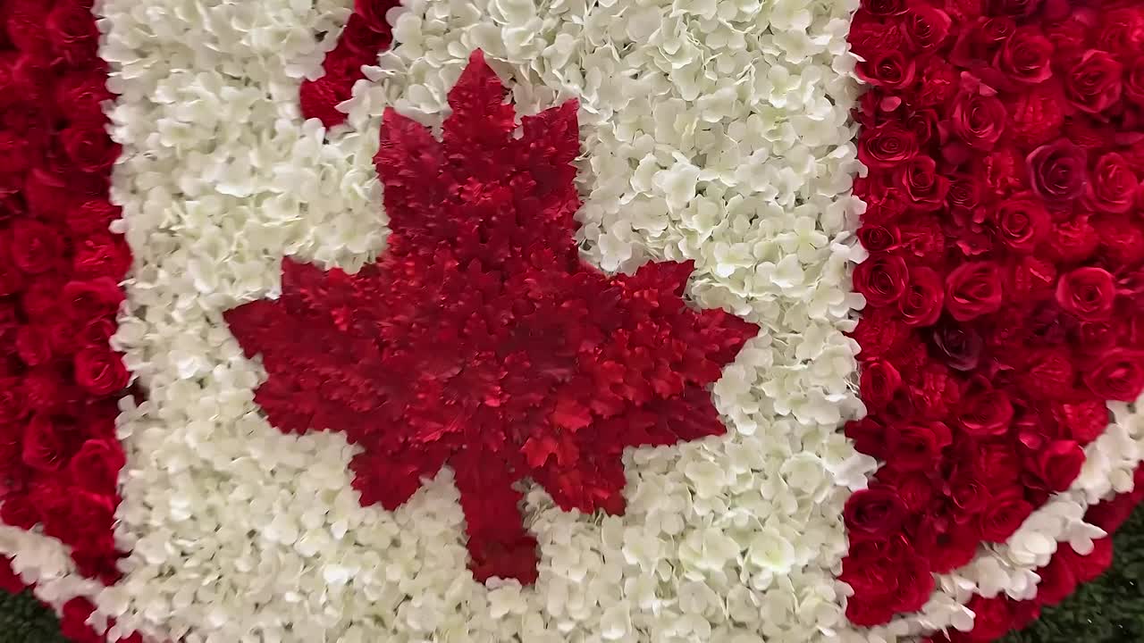 ⁣USA Smashes Olympics- Best Way To Ruin A Global Celebration (1080p_24fps_H264-128kbit_AAC)