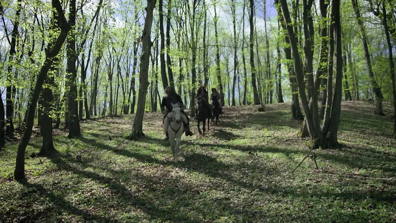 Noaptea lui Vlad 2024 ROMANIAN 1040p WEBRip x264 AAC