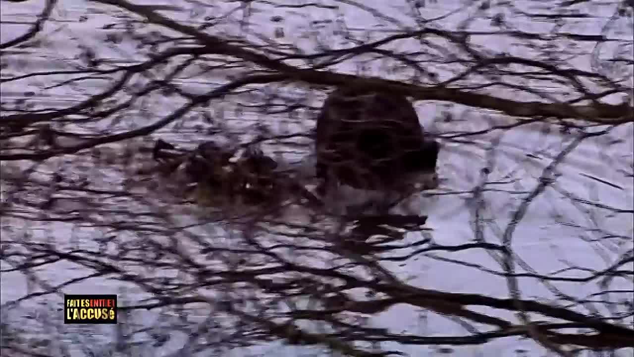 ⁣Faites Entrer l'Accusé -Tony Meilhon, la mauvaise rencontre de Laëtitia