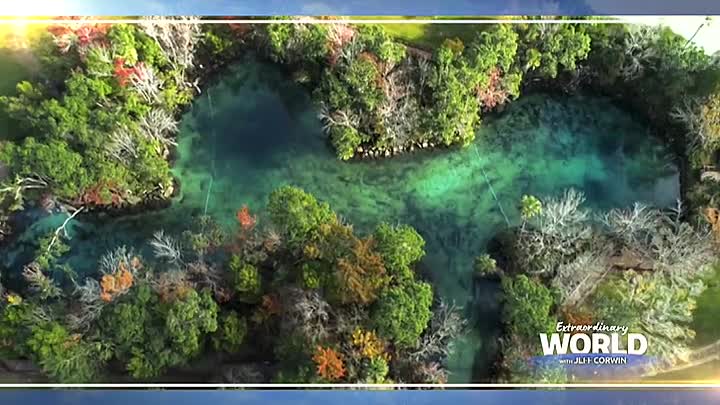 ⁣Extraordinary World With Jeff Corwin S01E11