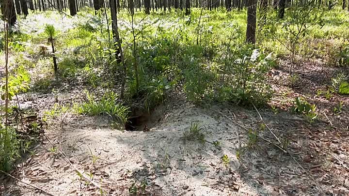 ⁣Extraordinary World With Jeff Corwin S01E01