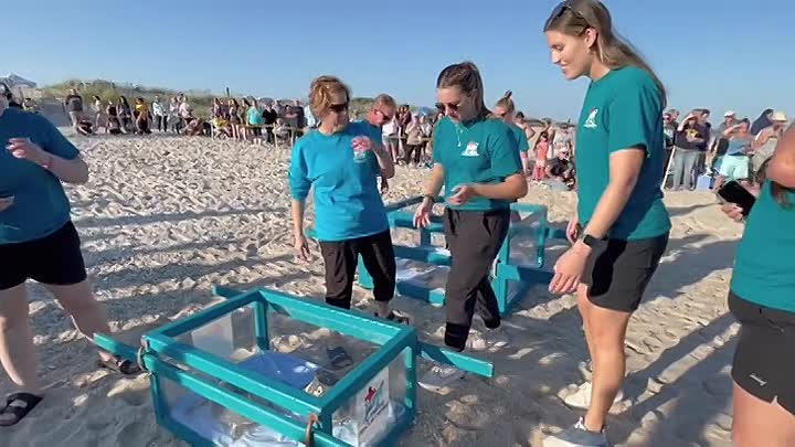 ⁣Extraordinary World With Jeff Corwin S01E05