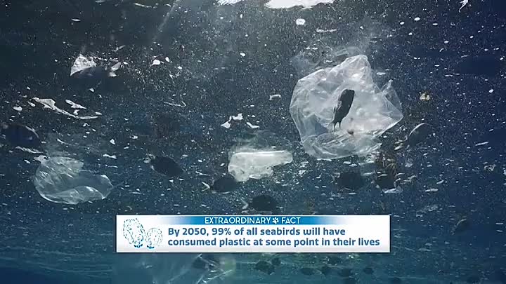 ⁣Extraordinary World With Jeff Corwin S01E02