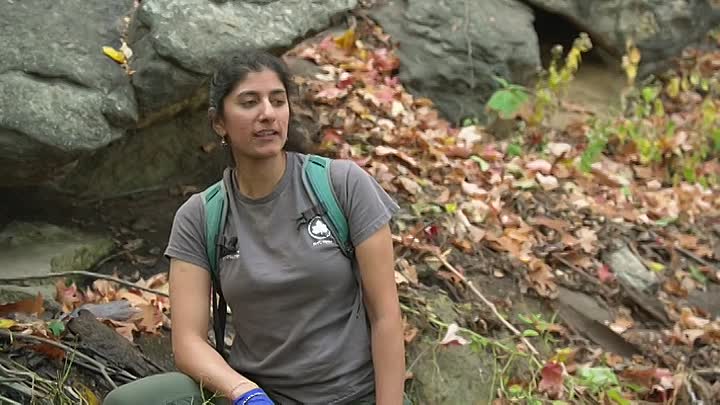 ⁣Extraordinary World With Jeff Corwin S01E03