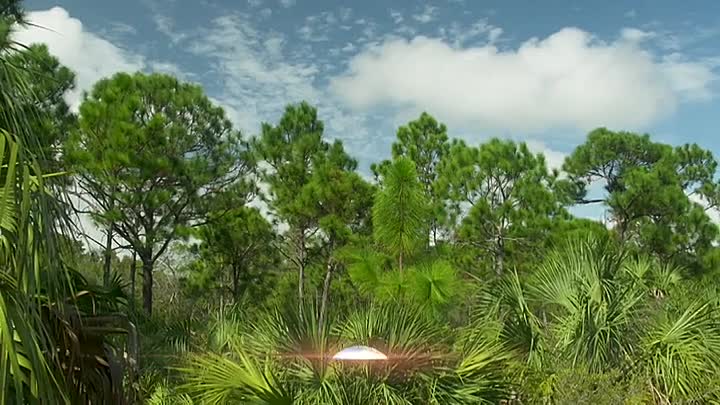 ⁣Extraordinary World With Jeff Corwin S01E09