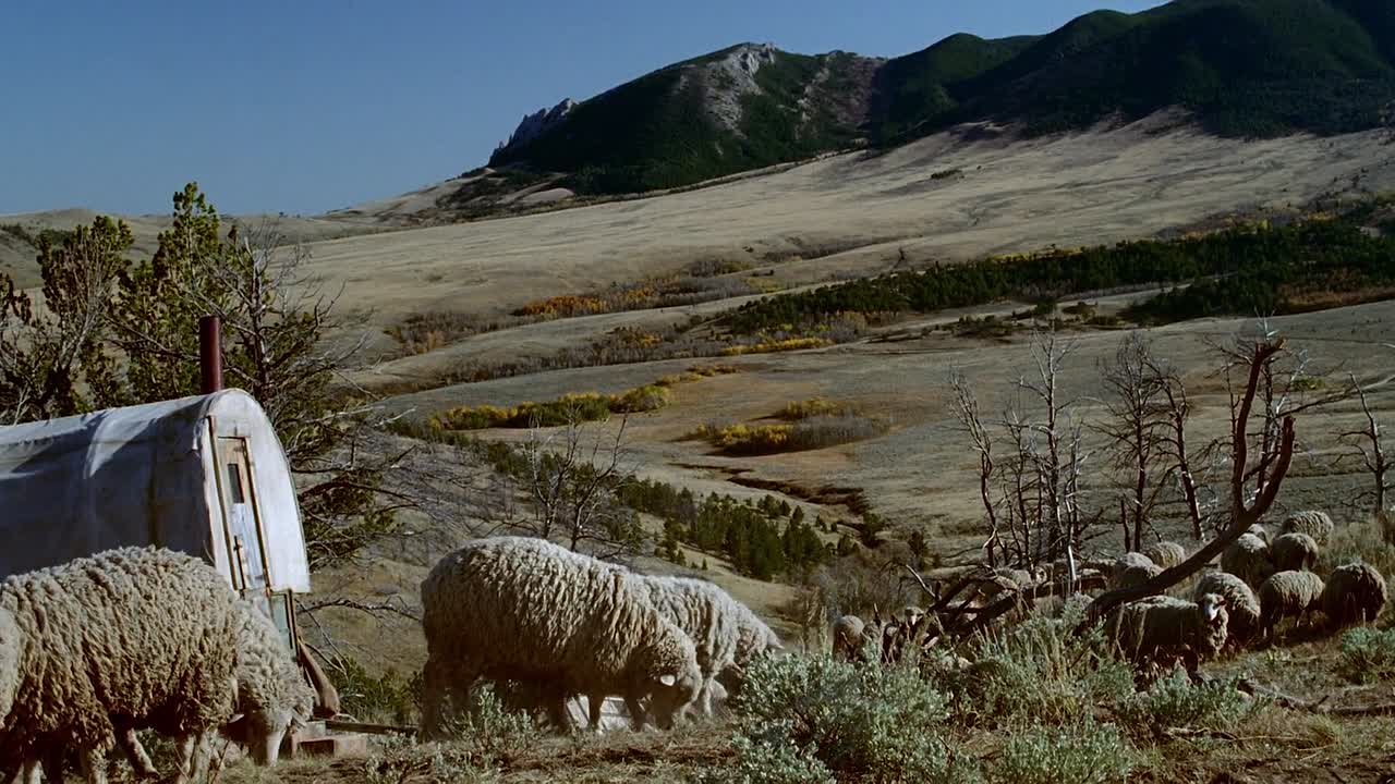 The Ballad Of Little Jo 1993 1080p BluRay x264 AAC-