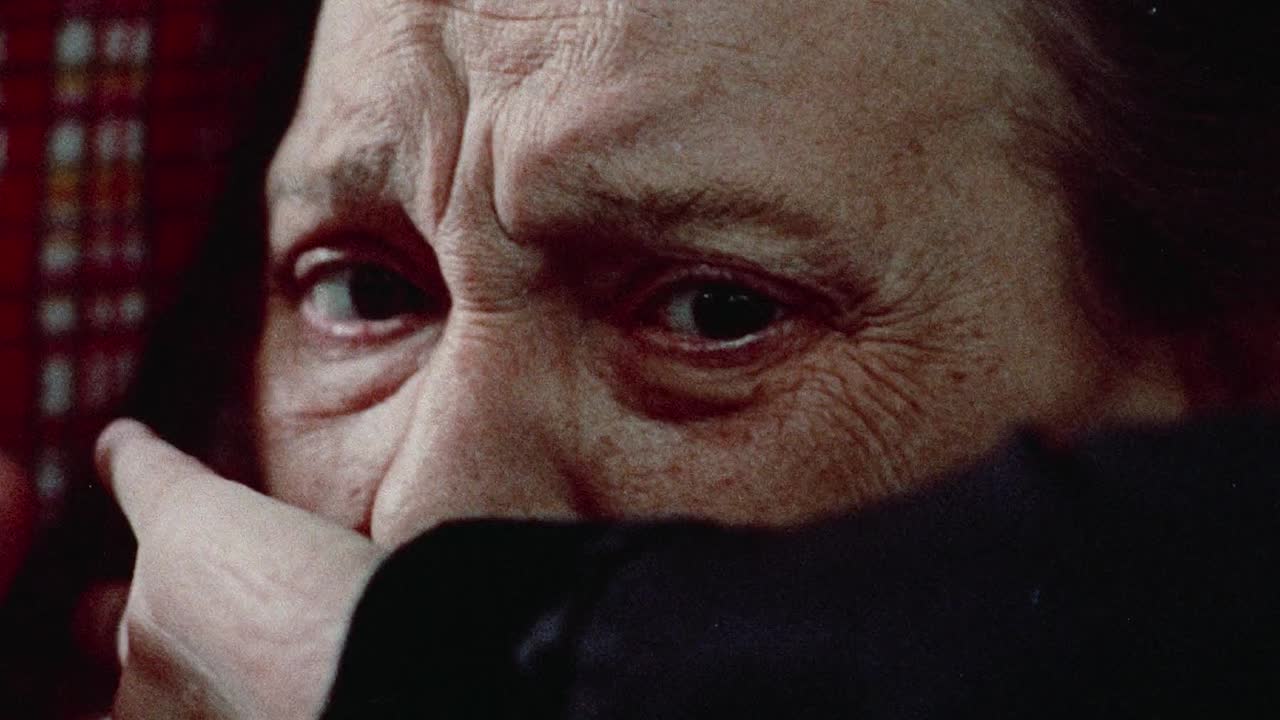 Themroc 1973 FRENCH 1080p BluRay x264 AAC-