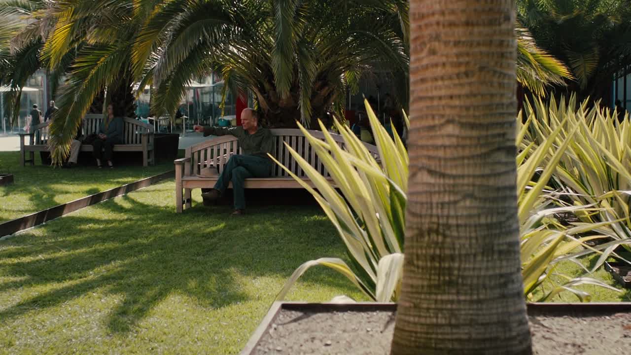 The Face of Love 2013 1080p BluRay x264 YIFY