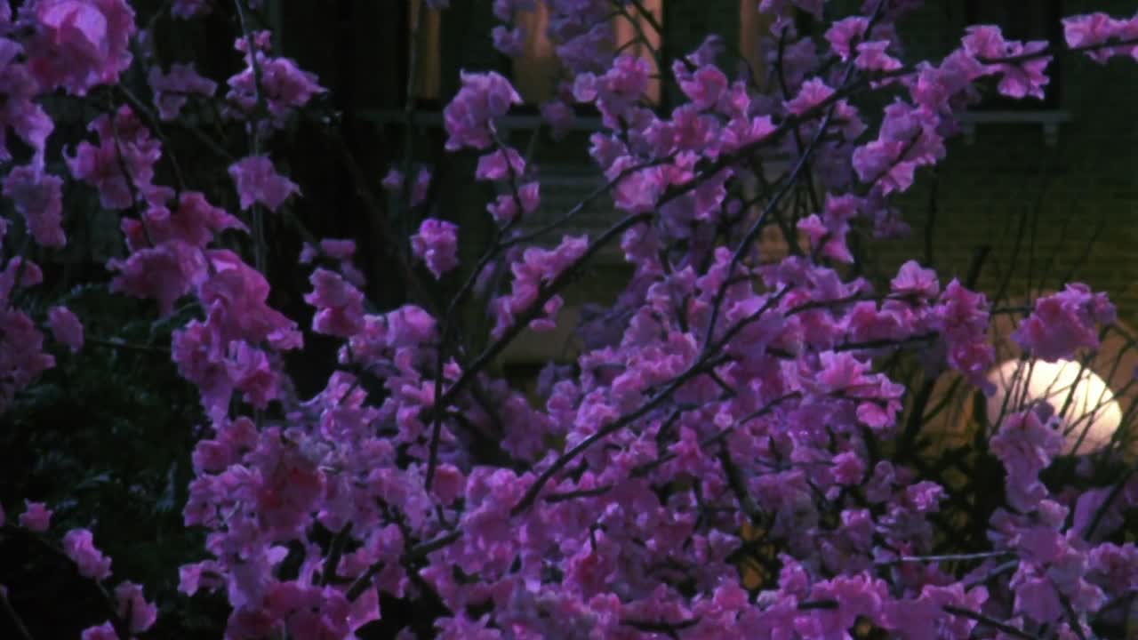 The Good Father 1985 1080p WEBRip x264 AAC-