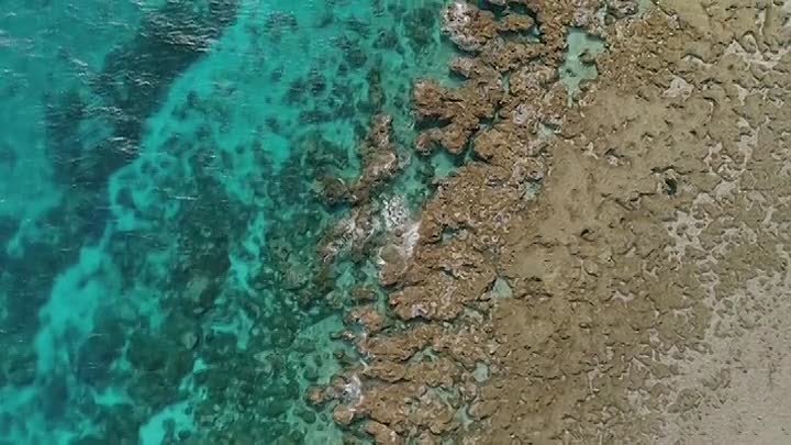 Guardians Of The Reef S01E02