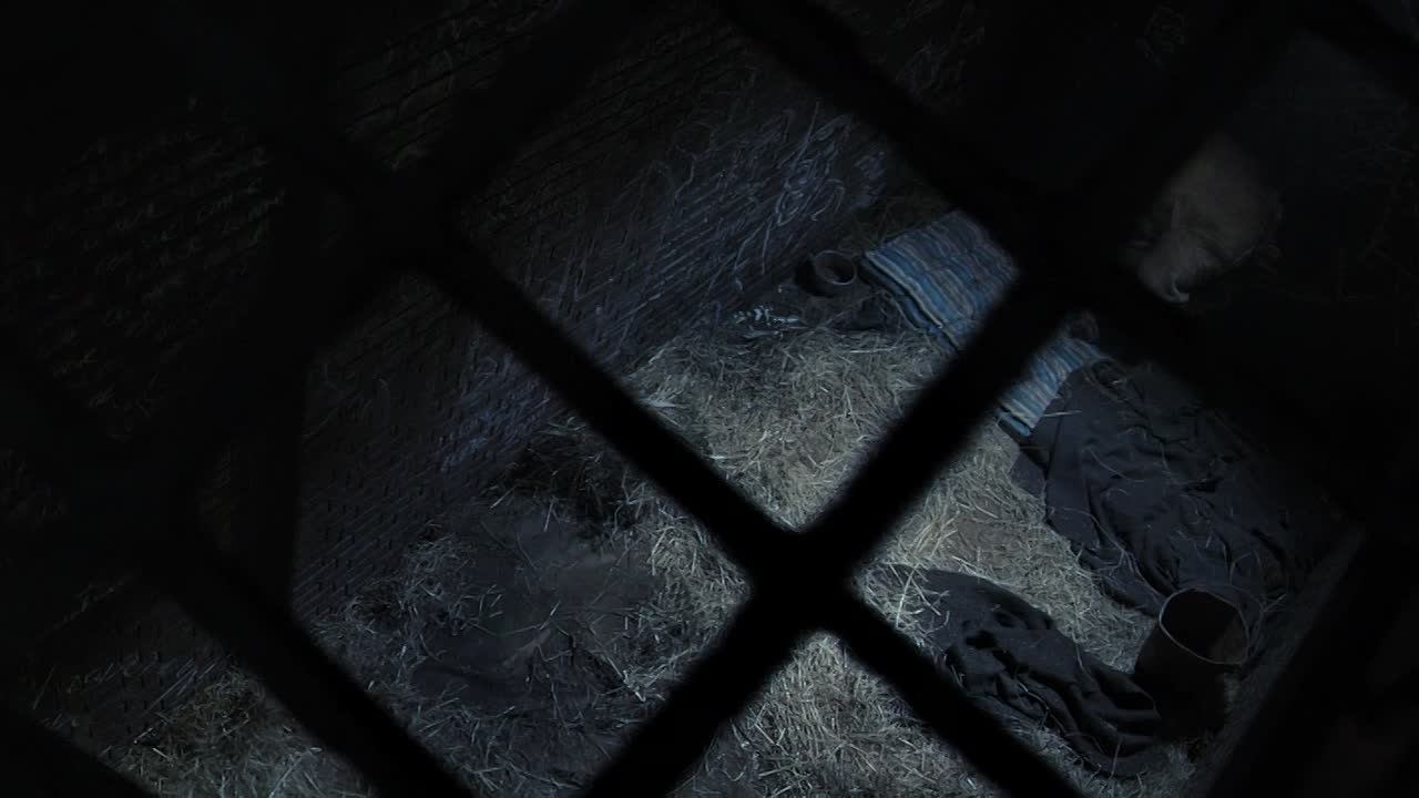 Stonehearst Asylum 2014 1080p BluRay x264 AAC5 1-