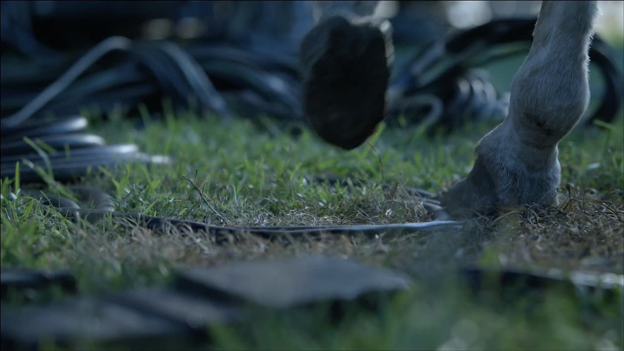 Pawn Shop Chronicles 2013 1080p BluRay x264 YIFY