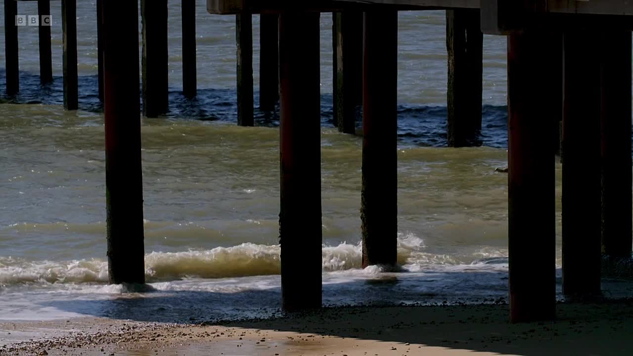 Moment Of Proof S04E02