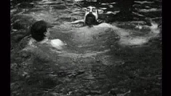 Charlie Chaplin - The Adventurer (1917)