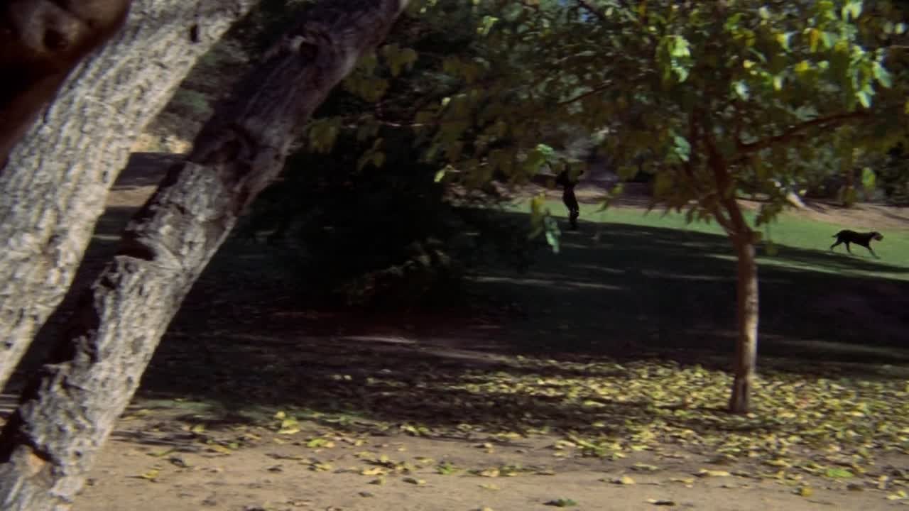 Breezy 1973 1080p BluRay x264 AAC-