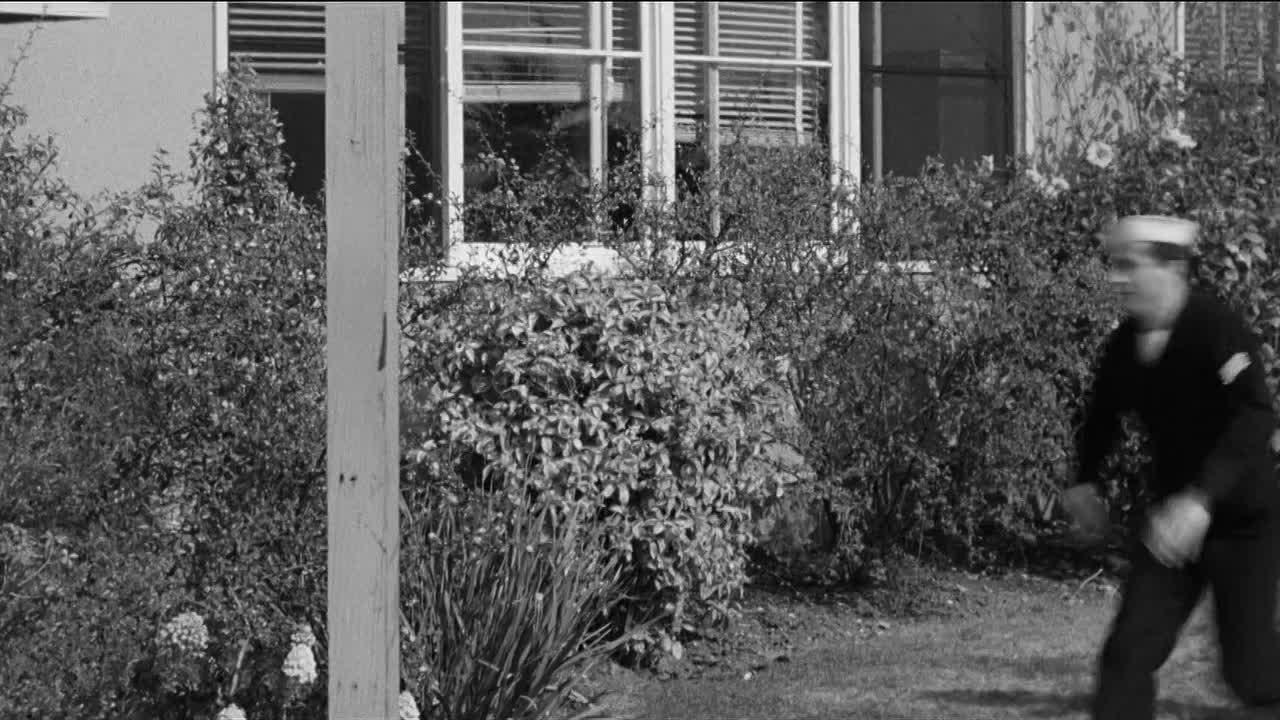 ⁣Francis In The Navy 1955 1080p BluRay x264 AAC-