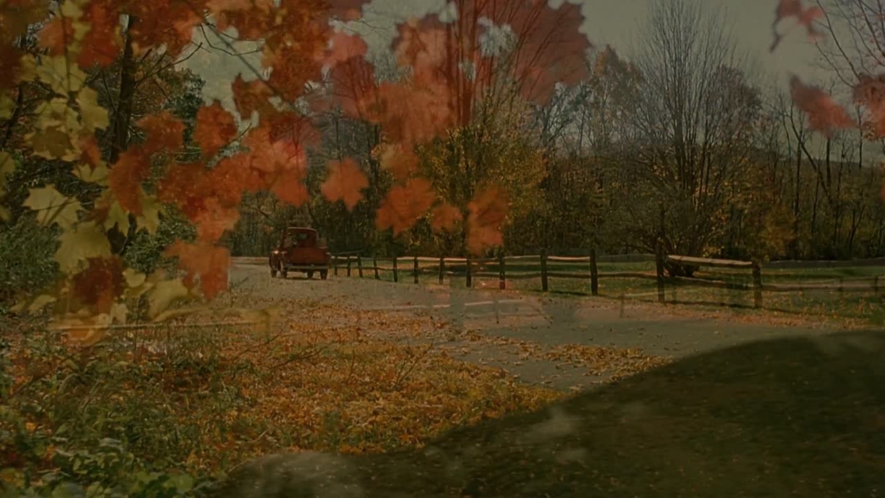 ⁣Far From Heaven 2002 1080p BluRay x264-[YTS AM]