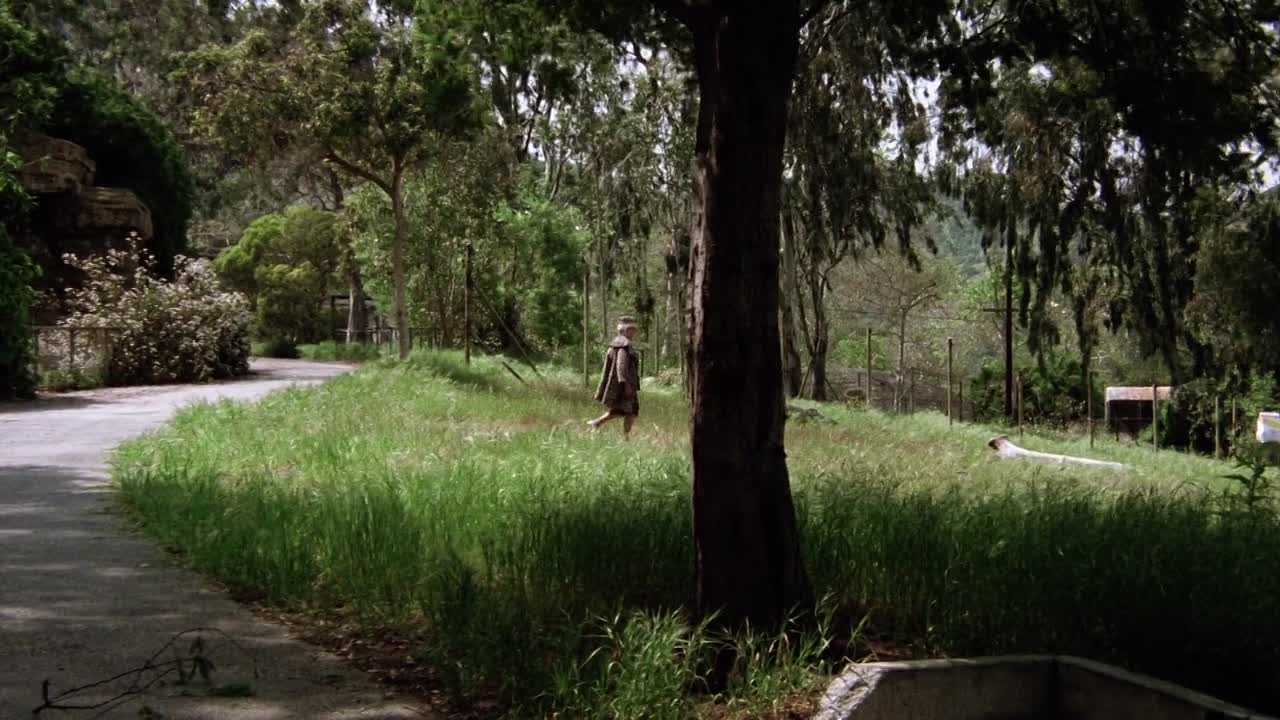 Crazy Mama 1975 1080p BluRay x264 AAC-YTS MX