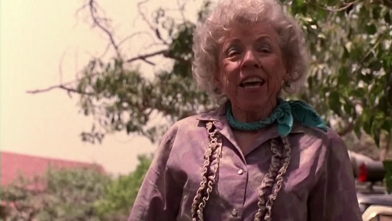 Glam 1997 1080p WEBRip x264 AAC-