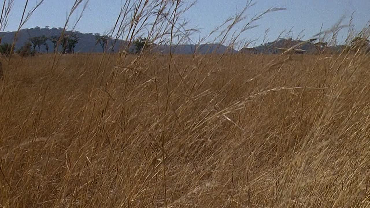 Cry Freedom 1987 1080p BluRay x264-[YTS AM]