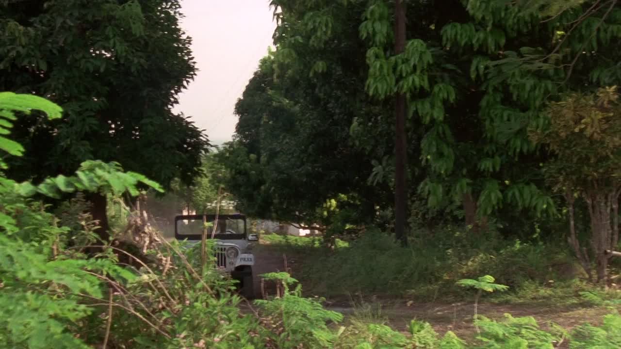 The Mighty Quinn 1989 1080p BluRay x264 AAC-