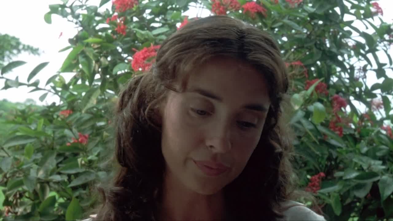 Before Night Falls 2000 1080p BluRay x264 YIFY