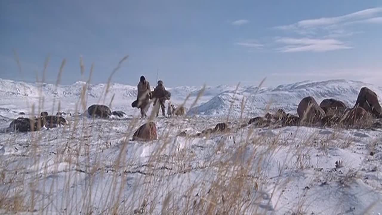 ⁣Shadow Of The Wolf 1992 HDRip x264