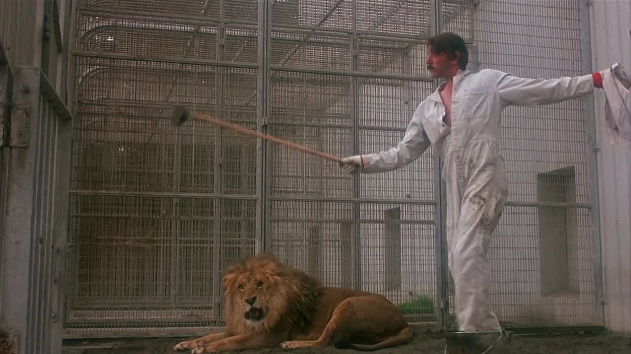 ⁣Steelyard Blues 1973 720p WEBRip x264 AAC-