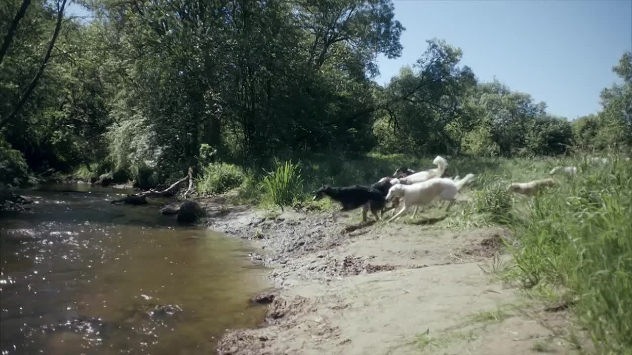 War And Peace S01E04