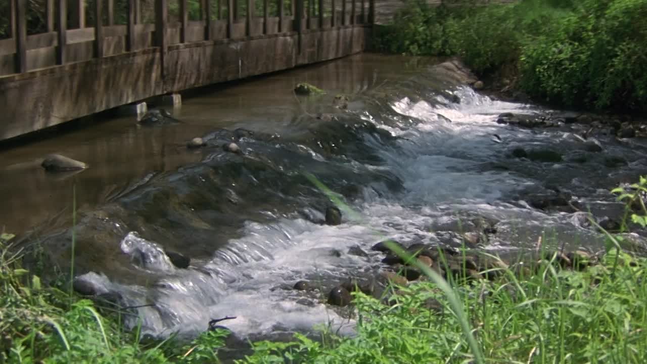 The Puppet Masters 1994 1080p BluRay x264 AAC5 1-