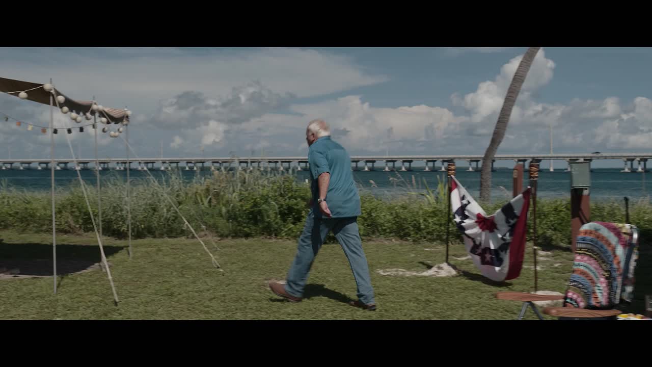 The Leisure Seeker 2017 HDRip x264