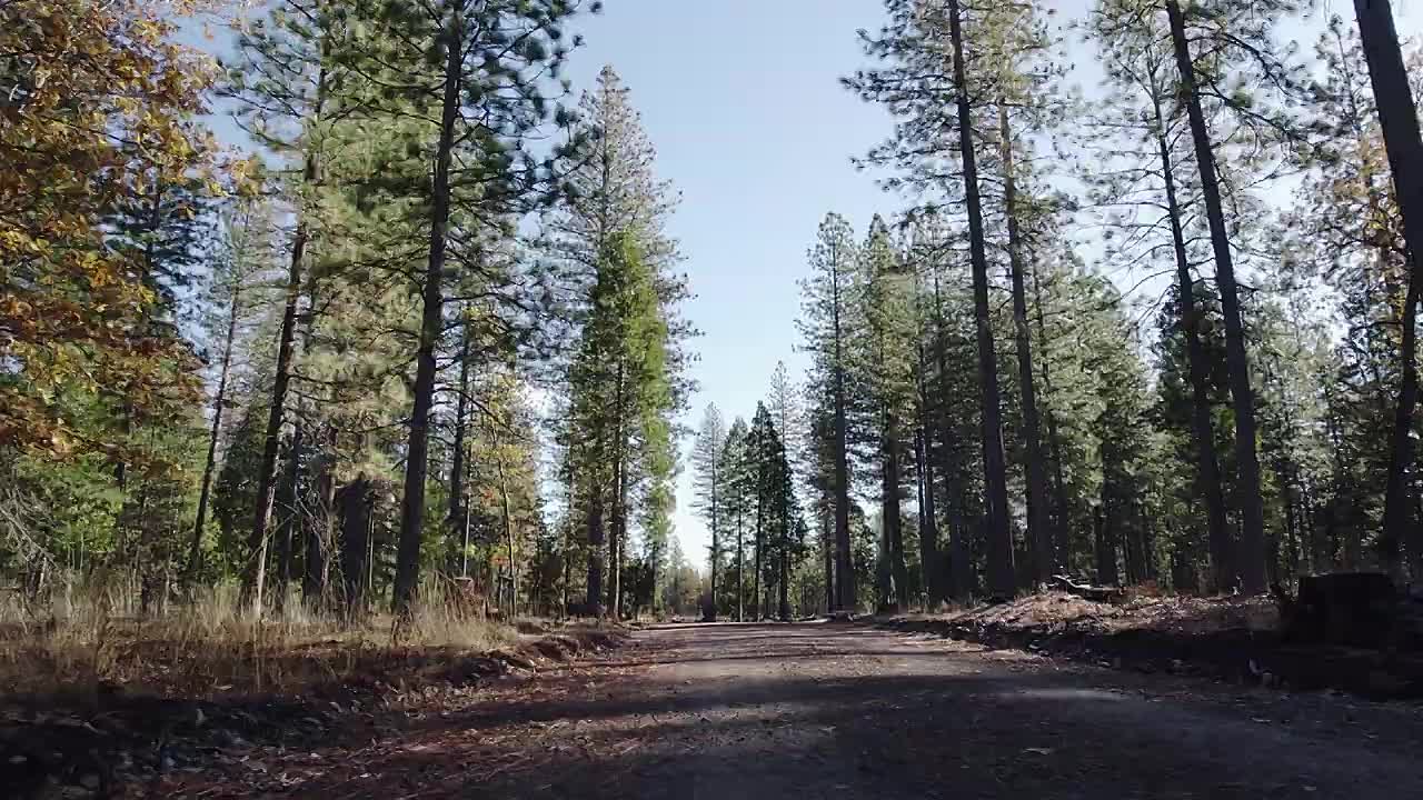 ⁣Sherri Papini -Caught in the Lie