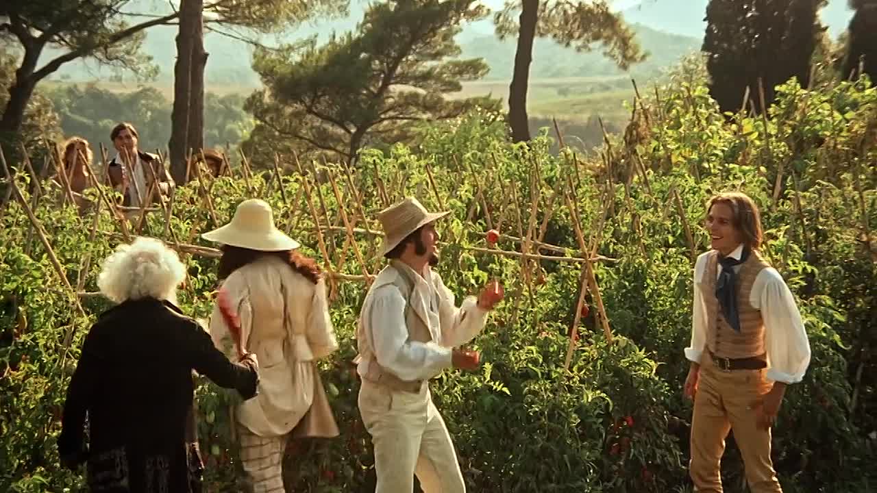 Taugenichts 1978 GERMAN WEBRip x264 AAC