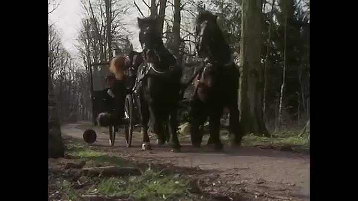 Hands of a Murderer (1990)