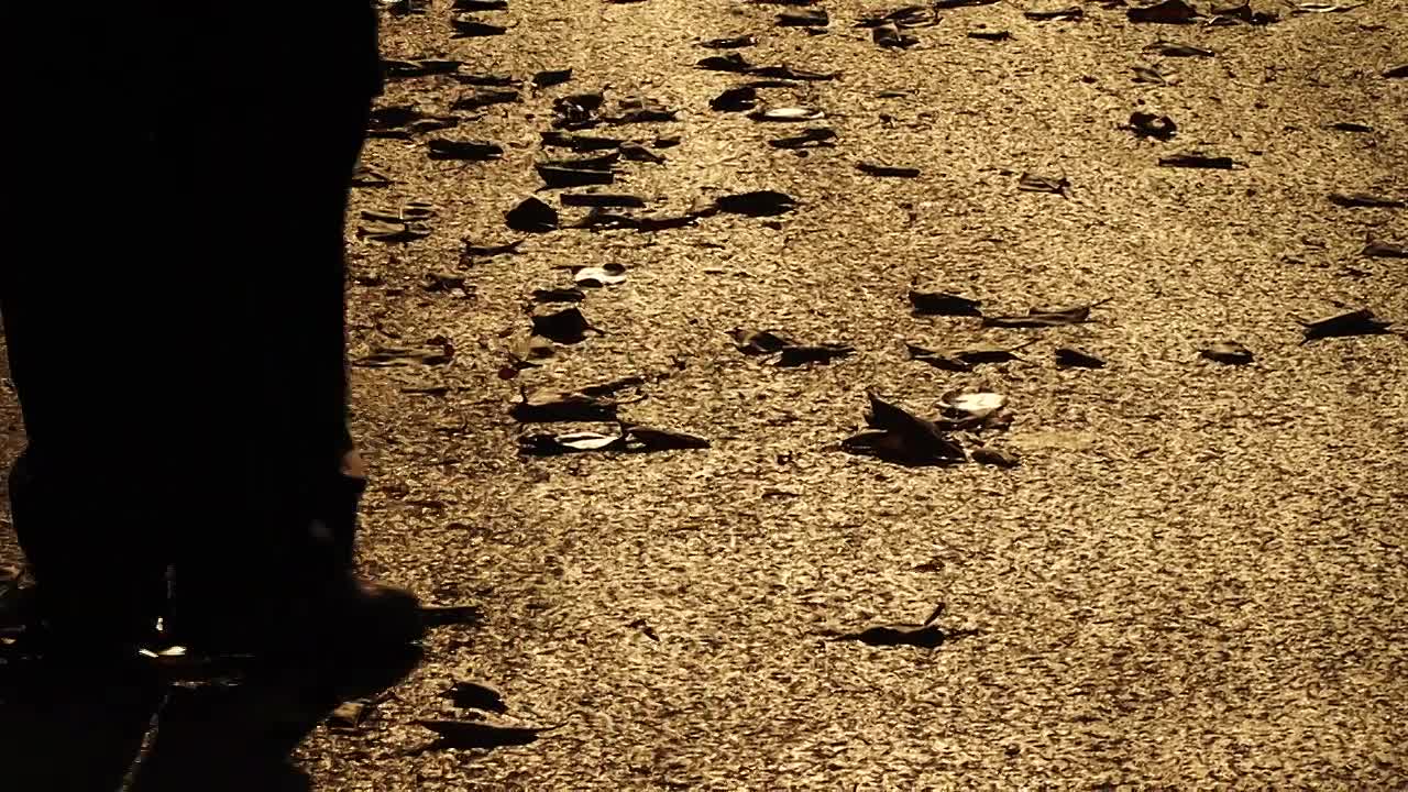 Che Guevara -Poster Boy of Revolution