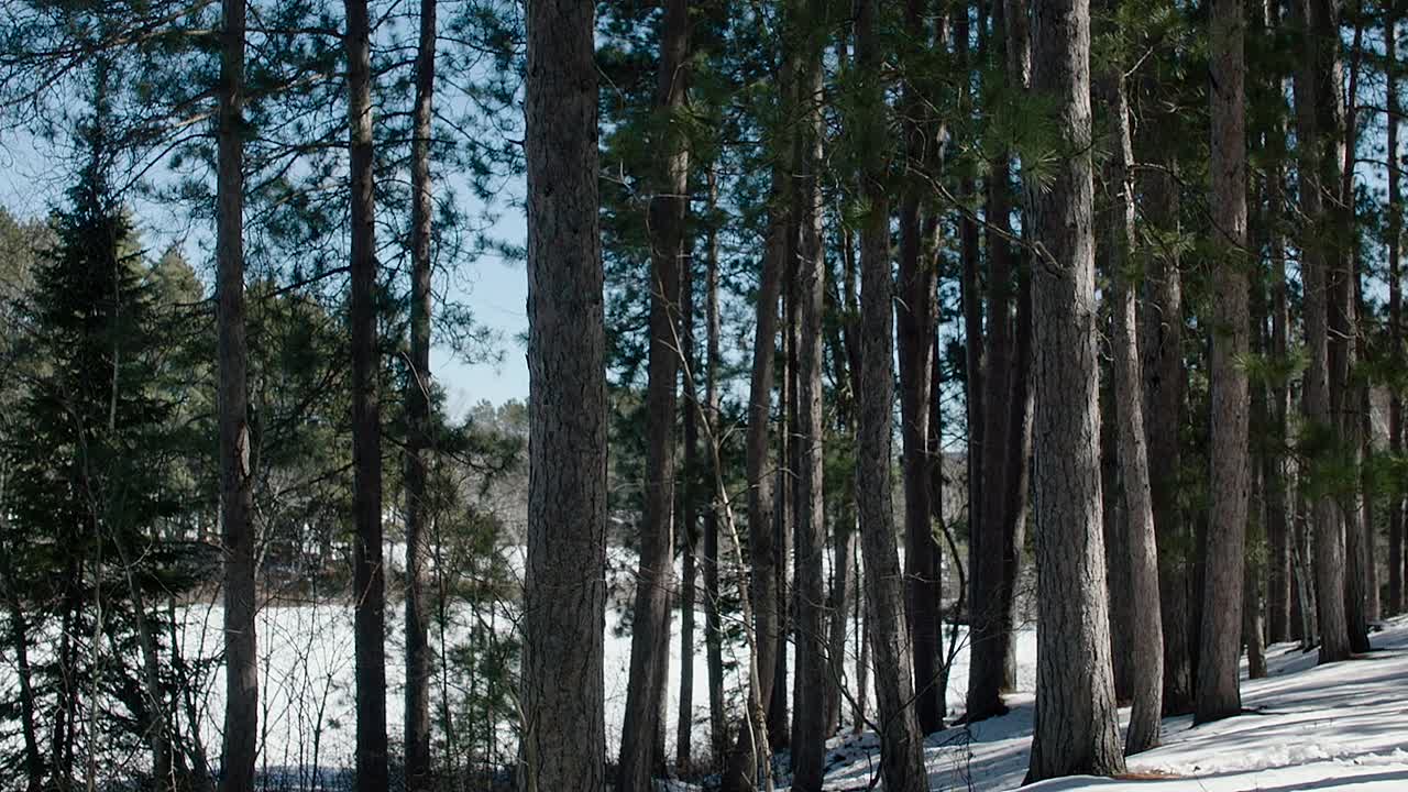 ⁣The Manhattan Project 2022 1080p WEBRip x264 AAC5 1-