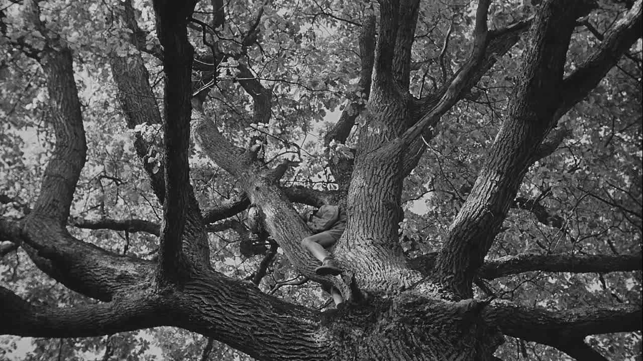 La Guerre des Boutons 1962 FRENCH 1080p BluRay x264 AAC-