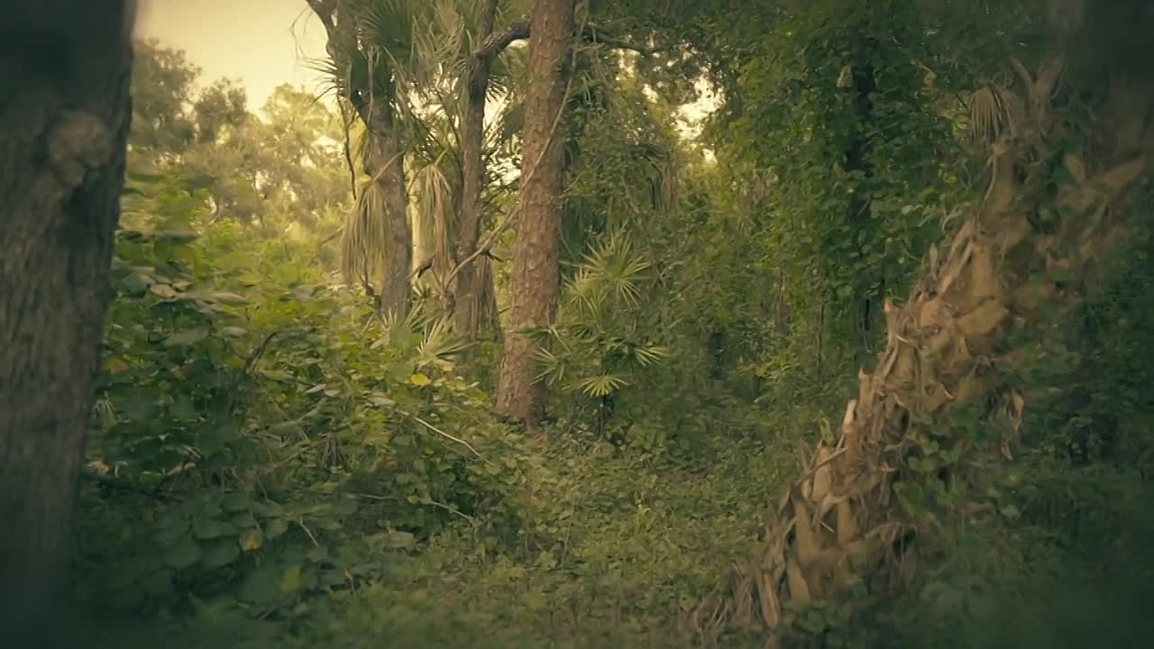 ⁣Unknown.Serial Killers of America S01E03